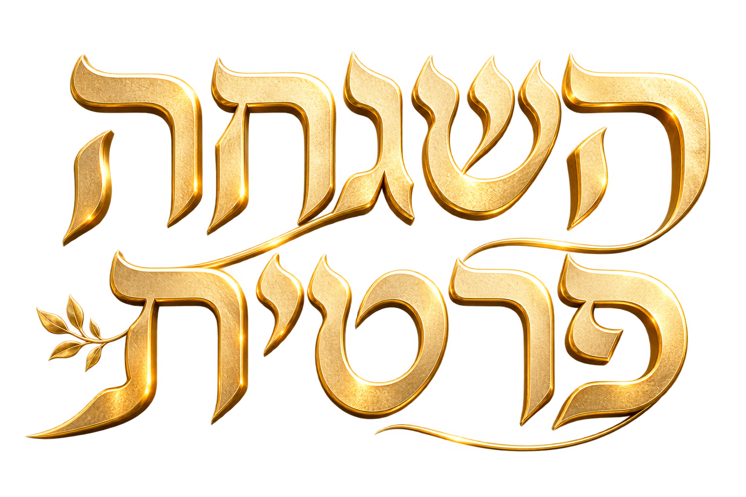הַשְׁגָּחָה פְּרָטִית